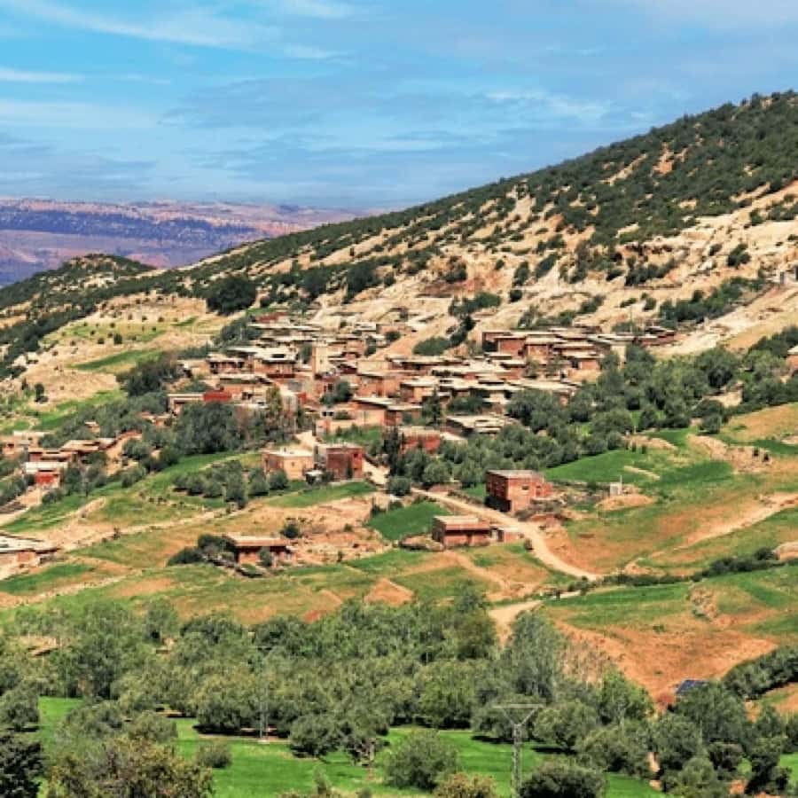 From Marrakech: High Atlas Mountains and 4 Valleys Day Trip - What $22 really gets you