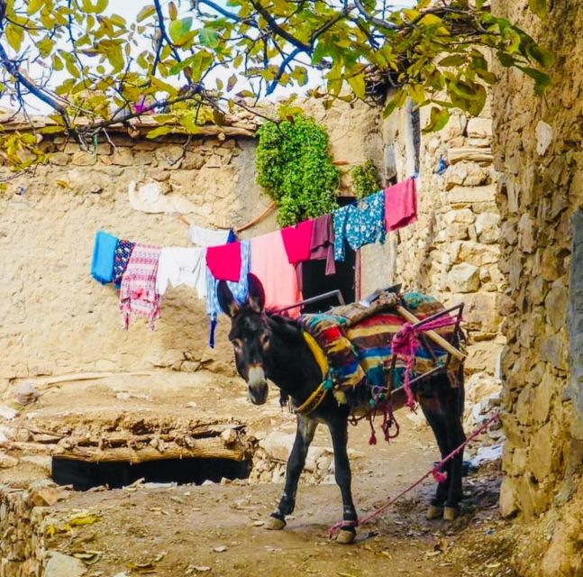 From Marrakech: Imlil Village and Kik Plateau Day Trip - Aroumed, fruit terraces, and Toubkal views