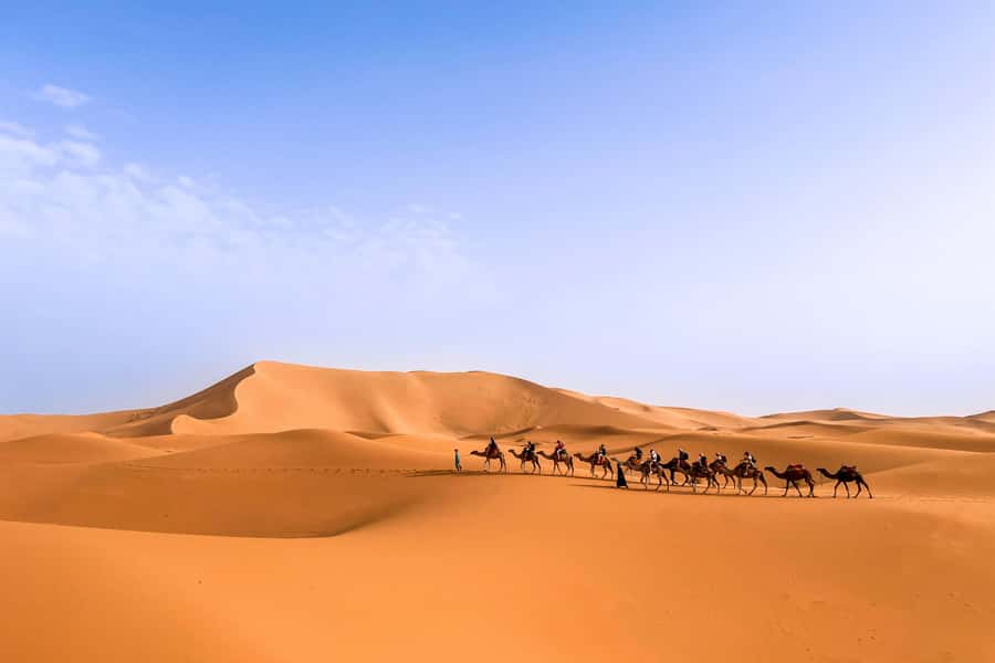 From Marrakech: Merzouga 3-Day Desert Safari with Food - What $122 buys you across three days