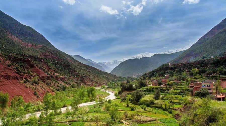 From Marrakech: Ourika Valley & Atlas Mountains Waterfalls - The argan oil cooperative and its sales stop