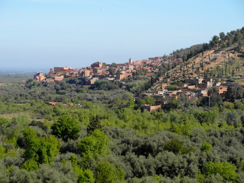From Marrakech: Ourika Valley & Atlas Mountains Waterfalls - Who will enjoy this day most?