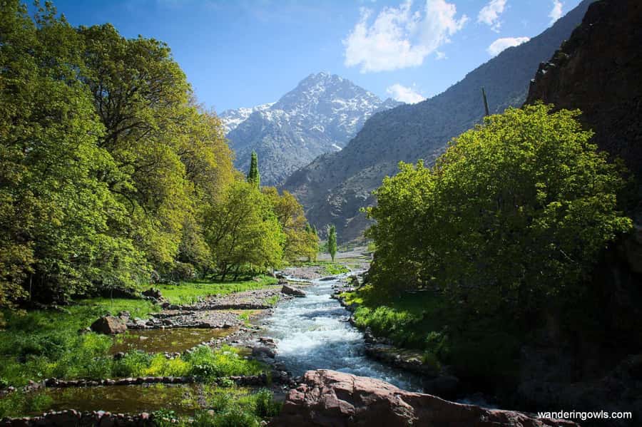 From Marrakech: Ourika Valley Day Trip with Lunch - Ouigrane, Ait Oucheg, and the mountain road