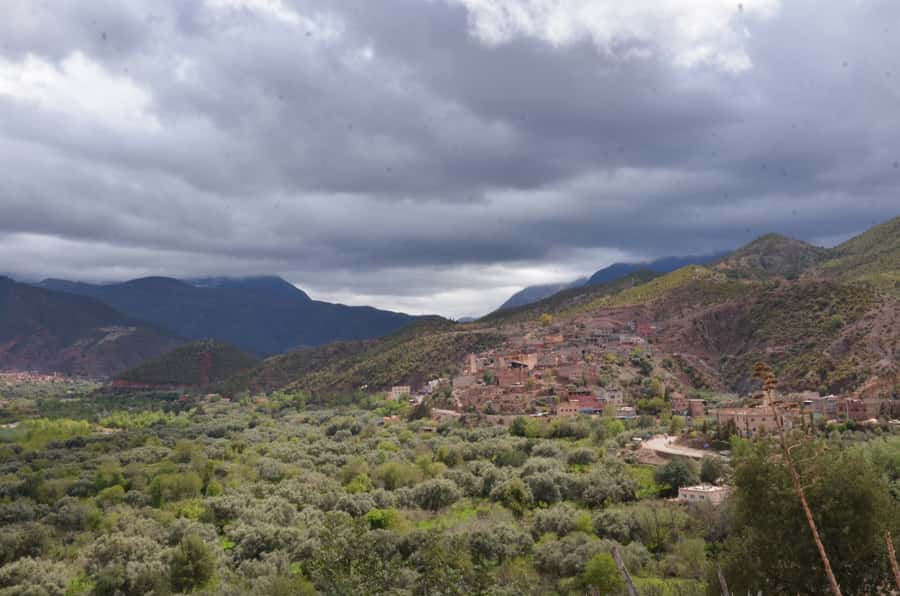 From Marrakech: Ourika Valley Day Trip with Lunch - What the guides add to the day