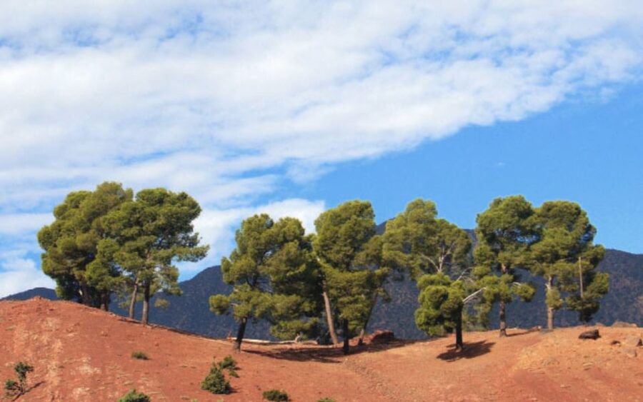 From Marrakech: Ourika Valley Tour with Lunch & Camel Ride - From Marrakech to the Ourika River