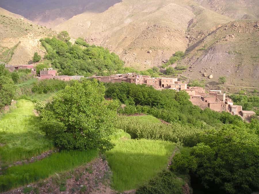 From Marrakech: Ourika Valley Trip, Waterfall Hike & Lunch - The Setti Fatma waterfall walk