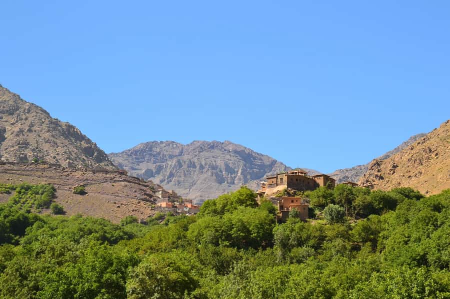 From Marrakech: Ourika Valley Trip, Waterfall Hike & Lunch - What the guides add to the day