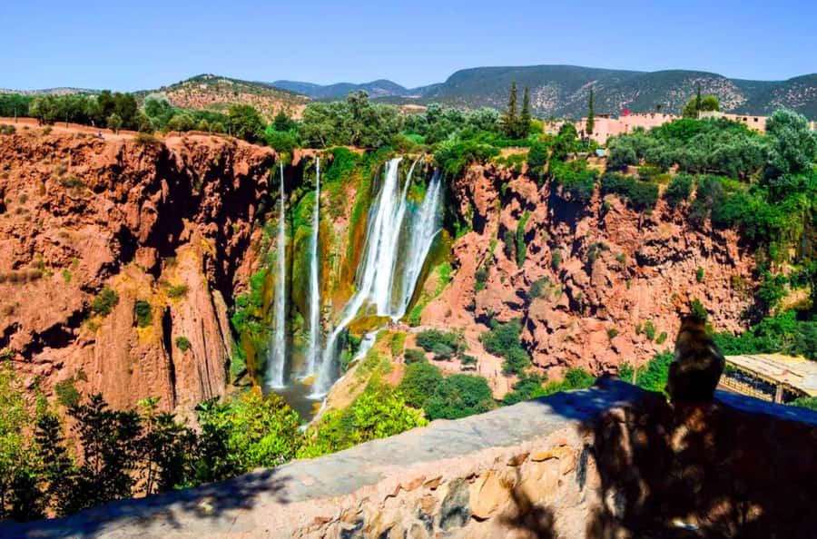 From Marrakech: Ouzoud Waterfall Local guide & Boat Ride - Key points to know before you book