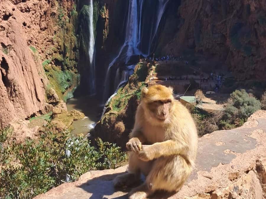 From Marrakech:Ouzoud Waterfalls Day Trip with Boat Tour - The early pickup and long road to the falls