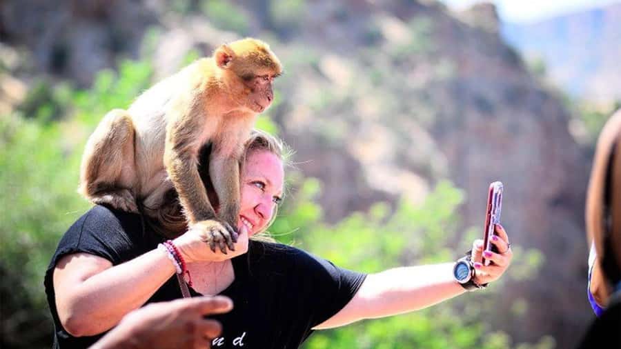 From Marrakech: Ouzoud Waterfalls Guided Hike and Boat Tour - Down to the water on steep paths