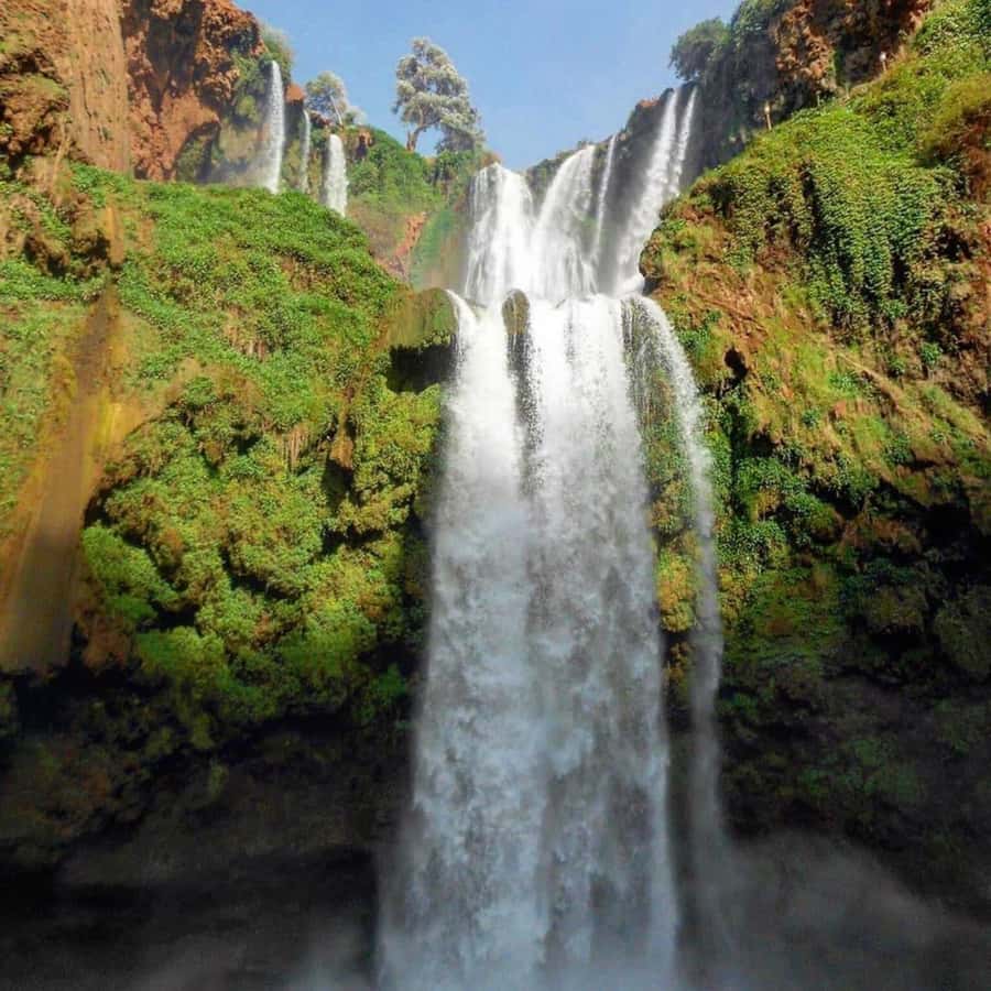 From Marrakech: Ouzoud Waterfalls Guided hike & boat Ride - Who should book this Ouzoud Falls trip