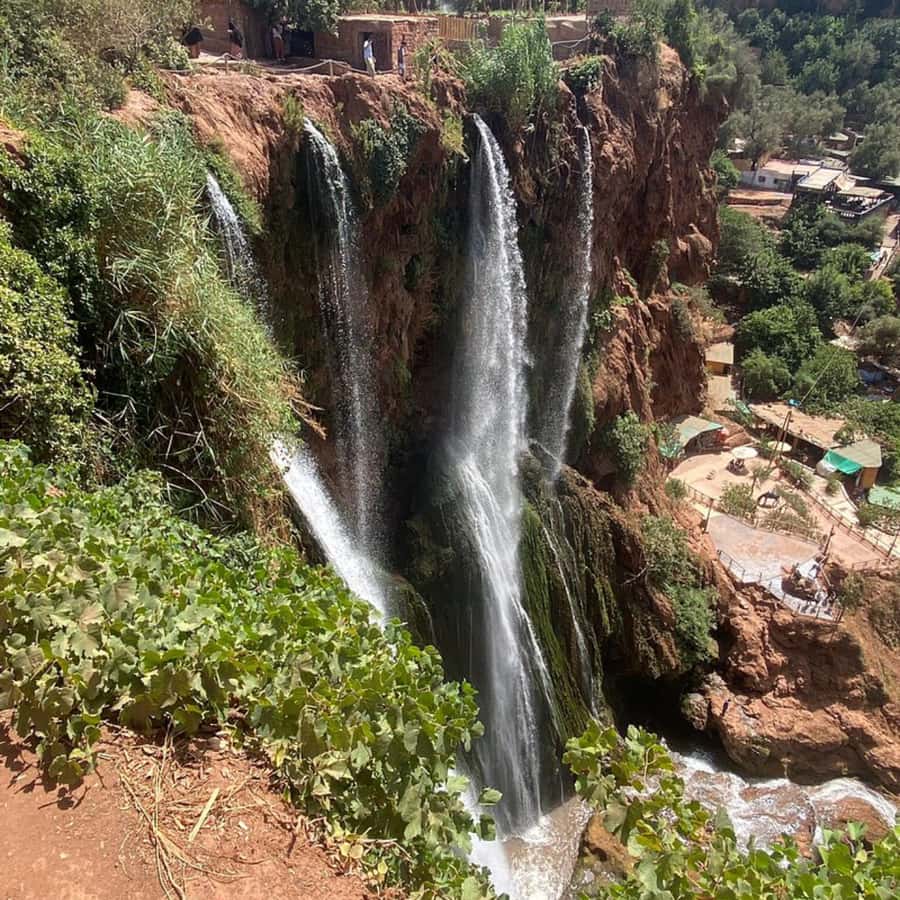 From Marrakech: Ouzoud Waterfalls Guided Tour and Boat Ride - Is $22 good value?