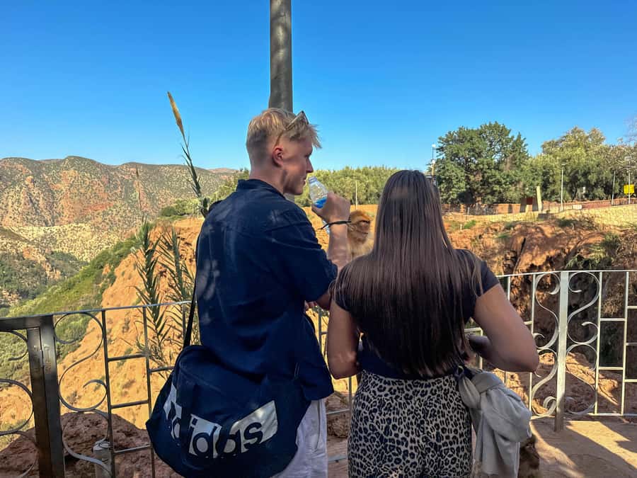 From Marrakech: Ouzoud Waterfalls Guided Trip with Boat Ride - The road from Marrakech to Ouzoud