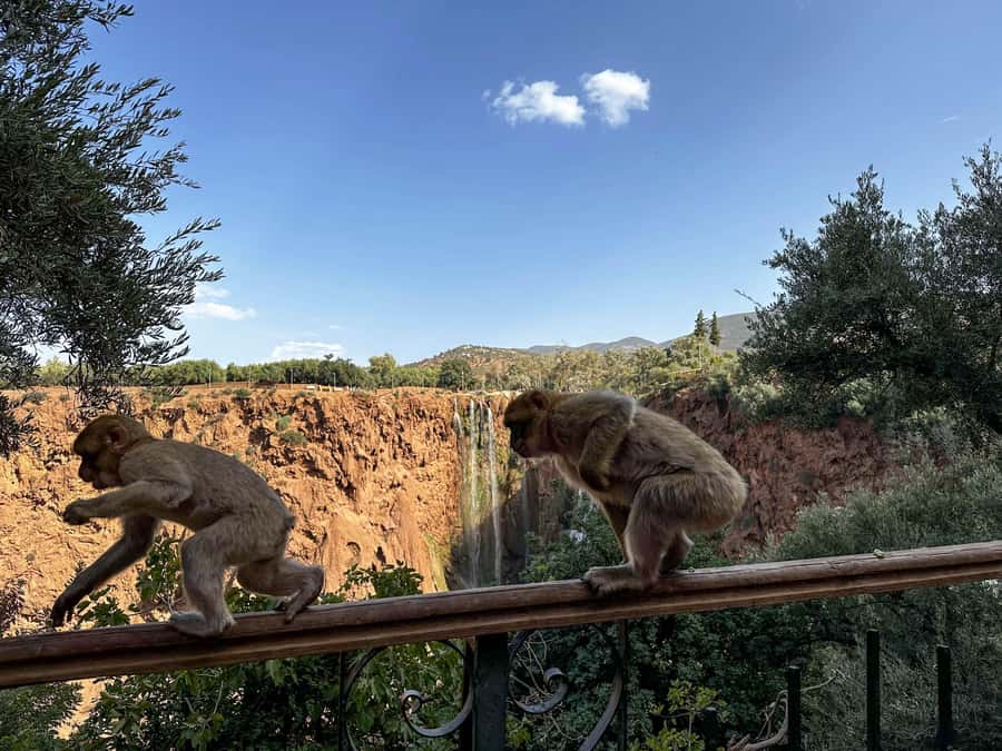 From Marrakech: Ouzoud Waterfalls Guided Trip with Boat Ride - The boat ride beneath the falls