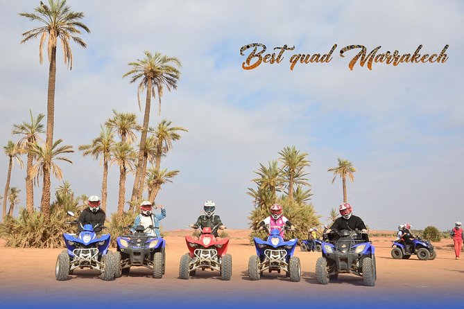 From Marrakech: Palm Grove Quad Bike and Camel Ride Tour - Who will enjoy this Marrakech outing