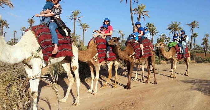 From Marrakech: Palm Grove Quad Bike and Camel Ride Tour - Getting started on the quad bikes