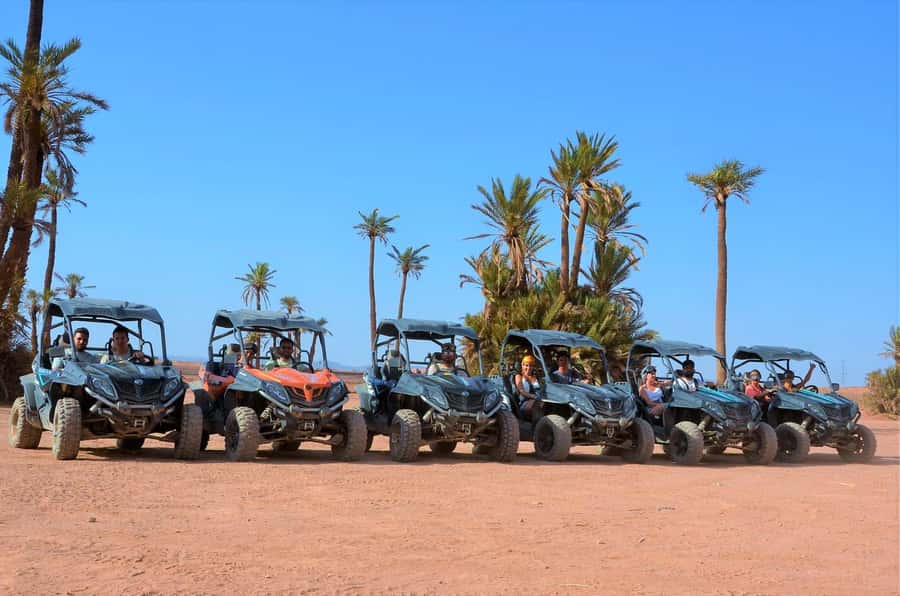 From Marrakech: Palm Grove Quad Bike Tour with Mint Tea - Key points to know before booking