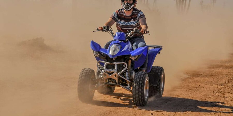 From Marrakech: Palm Grove Quad Bike Tour with Mint Tea - What $40 really gets you