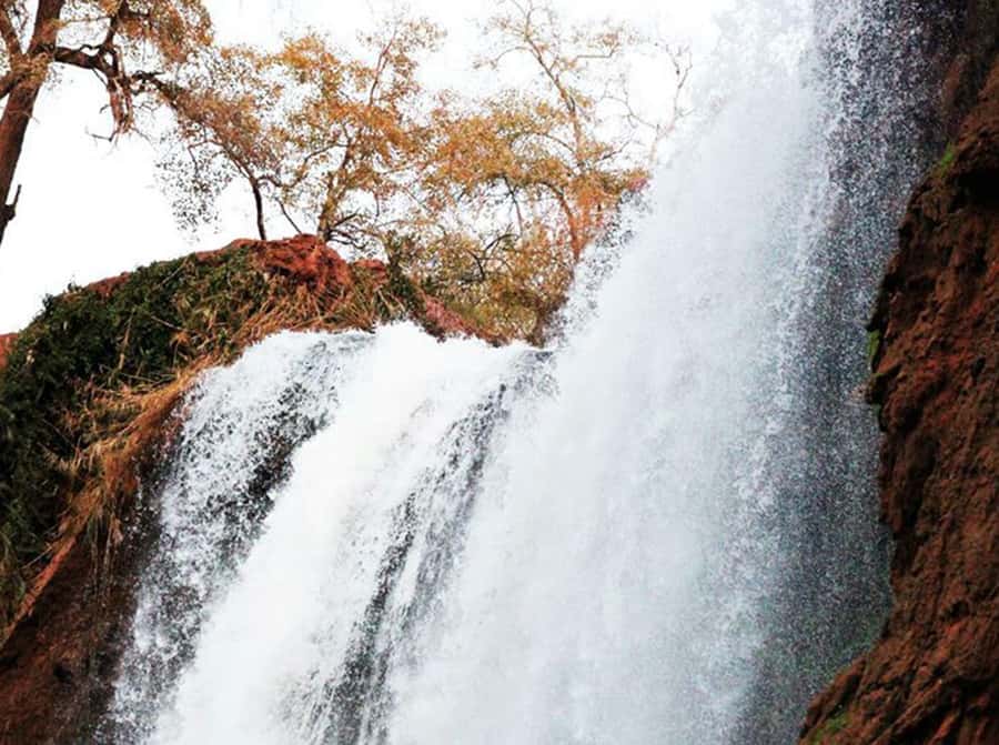 From Marrakech: Private Ouzoud Falls & Boat Ride Day Trip - Who should choose this day trip