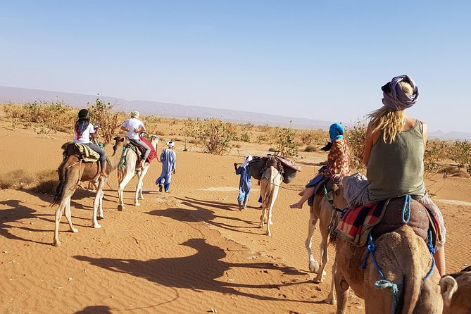From Marrakech: Private Tour to Oasis and Trekking in the Desert of Erg Chigaga - Day four: Iriki, Foum Zguid, rugs, and the return to Marrakech