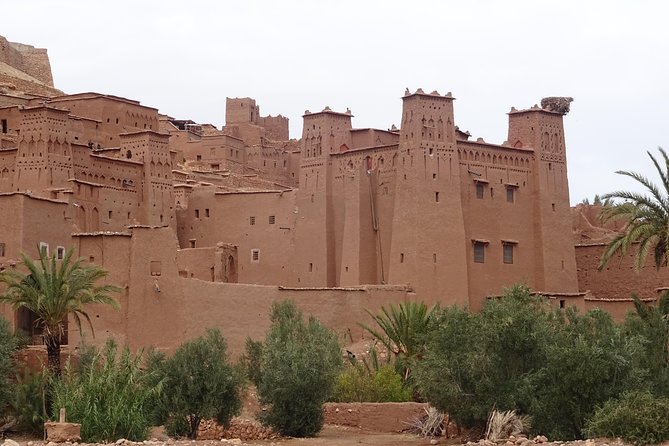 From Marrakech: Private Tour to Oasis and Trekking in the Desert of Erg Chigaga - What the private format changes