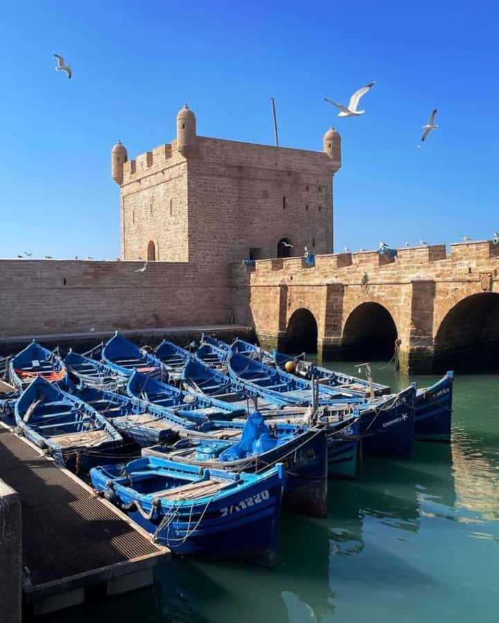 From Marrakech: small group Day Trip To Essaouira Mogador - Key points at a glance