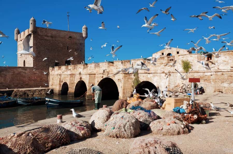 From Marrakech: small group Day Trip To Essaouira Mogador - A short stop at the Marjana argan cooperative