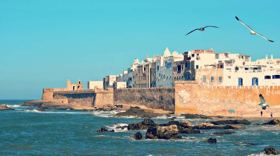 From Marrakech: small group Day Trip To Essaouira Mogador - Harbor boats, seafood, and the Atlantic