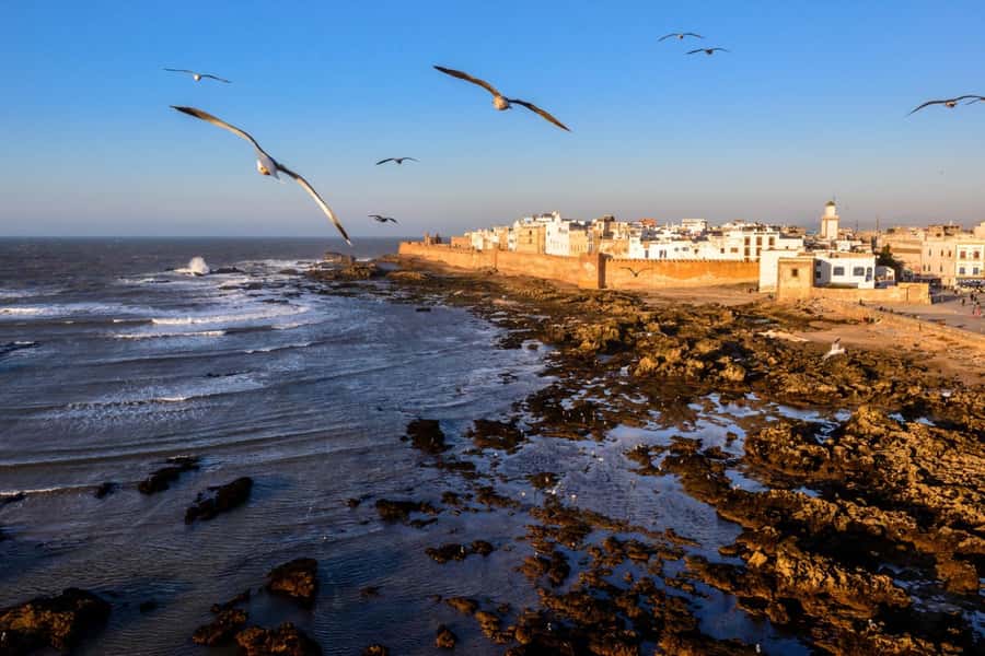 From Marrakech: small group Day Trip To Essaouira Mogador - The 18th-century ramparts and Skala