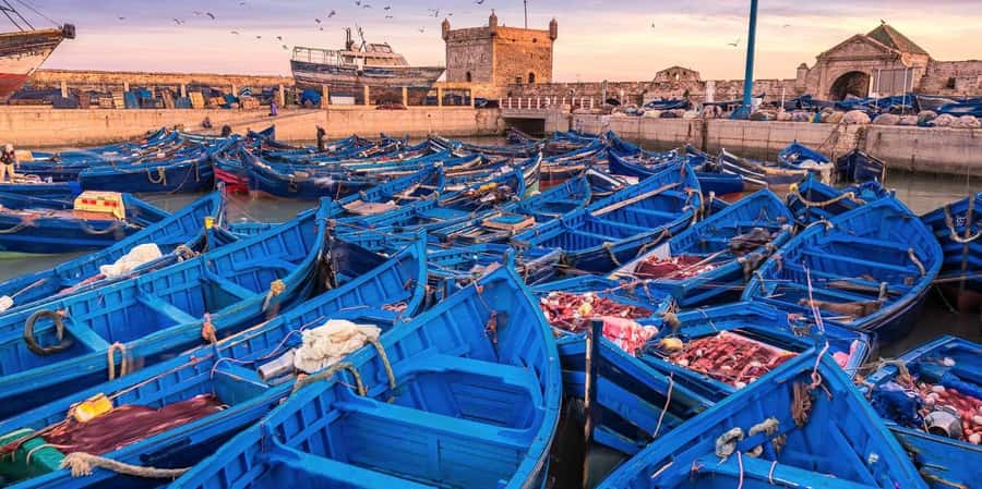 From Marrakech: Small Group To Essaouira & Medina Day Trip - Key points at a glance