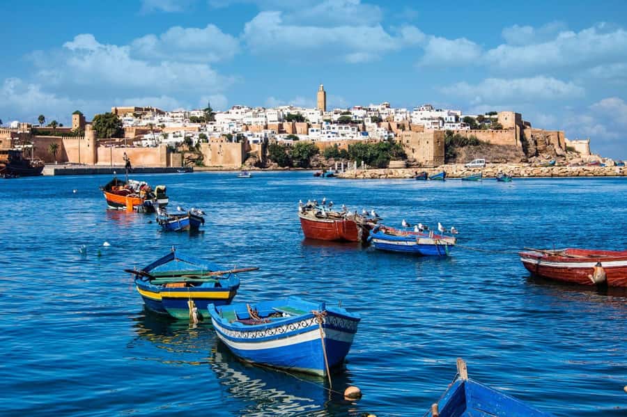 From Marrakech: Small Group To Essaouira & Medina Day Trip - The argan oil cooperative and Berber tradition