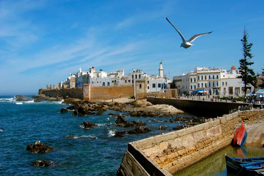 From Marrakech: Small Group To Essaouira & Medina Day Trip - Thuya wood, Gnaoua music, and everyday craft
