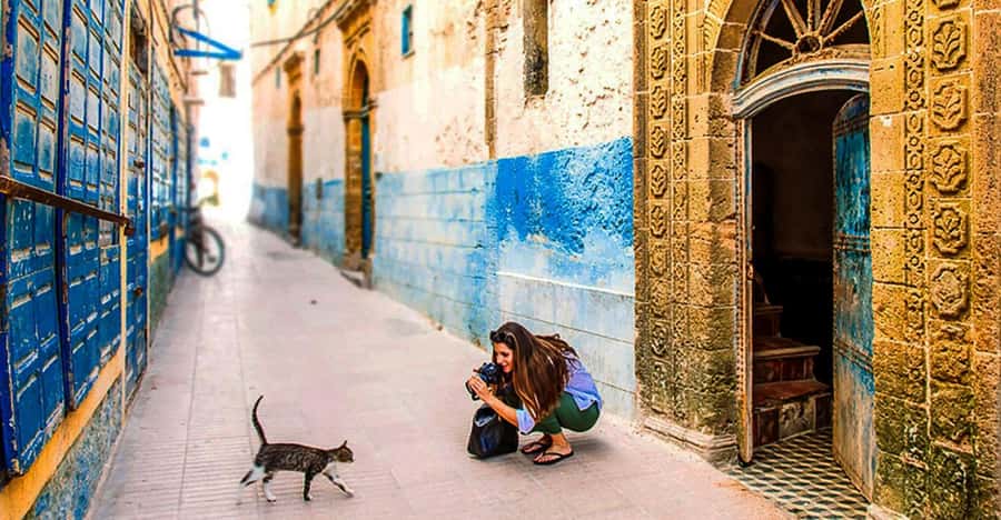 From Marrakech: Small Group To Essaouira & Medina Day Trip - The road west through argan country