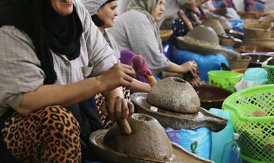 From Marrakech: Small Group to Essaouira & Sekkala Day Trip - Who should book this Essaouira trip?