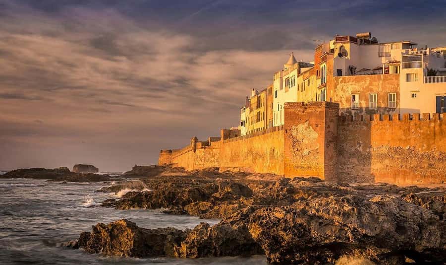 From Marrakech: Small Group to Essaouira & Sekkala Day Trip - The argan cooperative adds useful context