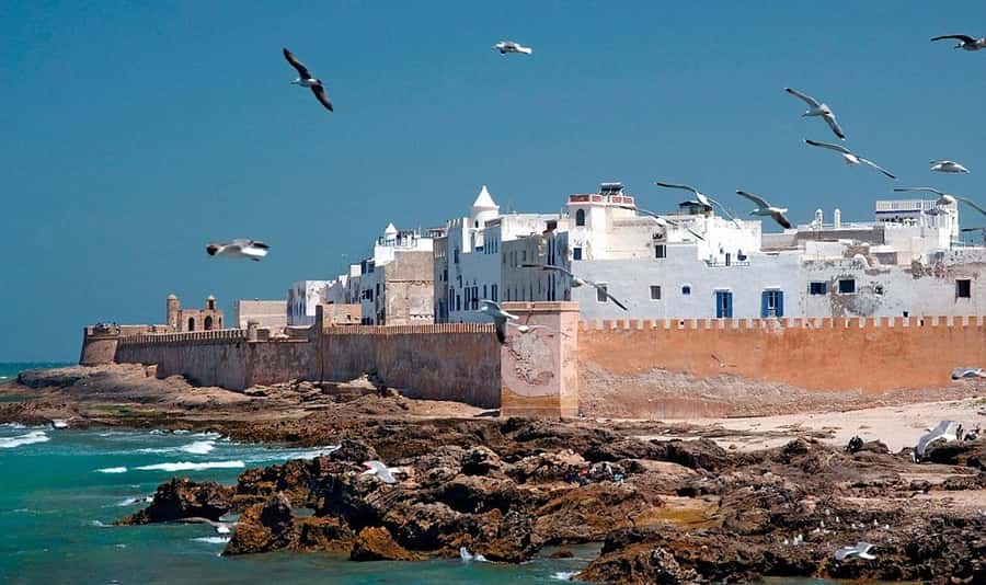 From Marrakech: Small Group to Essaouira & Sekkala Day Trip - Arriving in the medina and finding your bearings