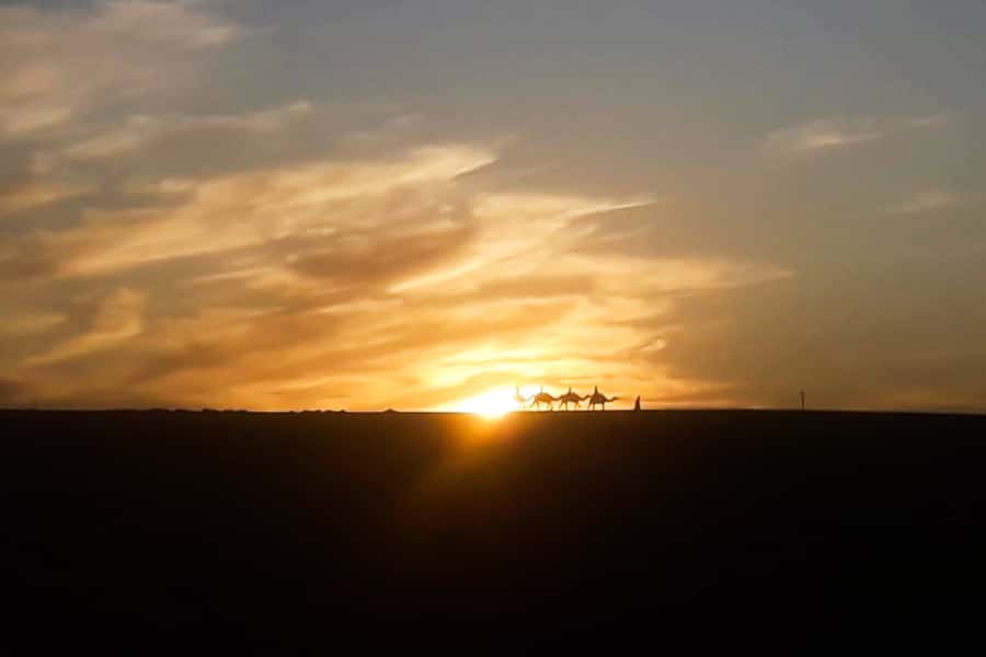 From Marrakech: Sunset Camel Ride in the Agafay Desert - The 5:00 PM pickup from Marrakech