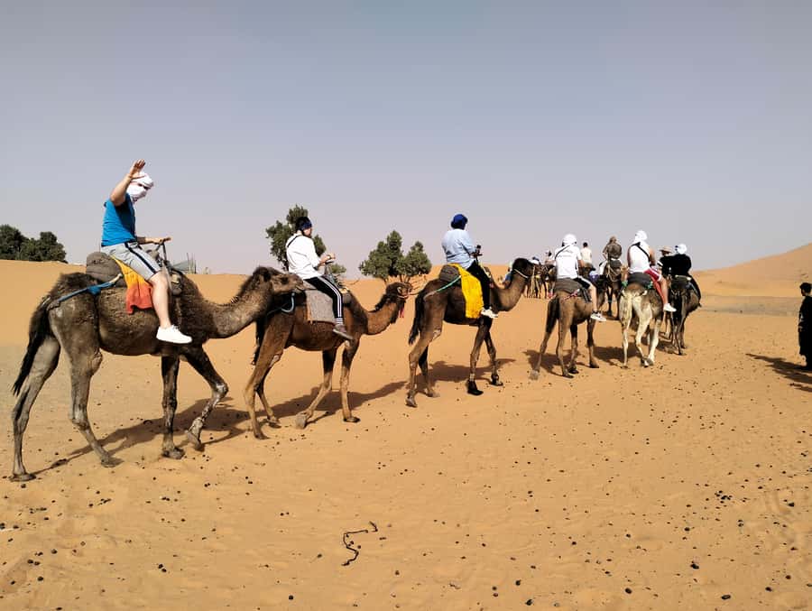 From Marrakech to Agadir : 4-Day Sahara Desert Tour - Day 1: From Marrakech to Aït Ben Haddou and Dades Valley