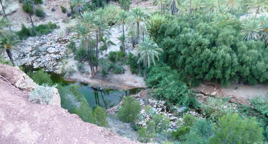 From Marrakech to Agadir Private Day Trip with Lunch - Your driver-guide makes the difference