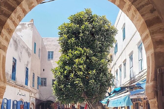 From Marrakech To Essaouira Mogador Full Day Trip | Small-group - The cost and what you really get