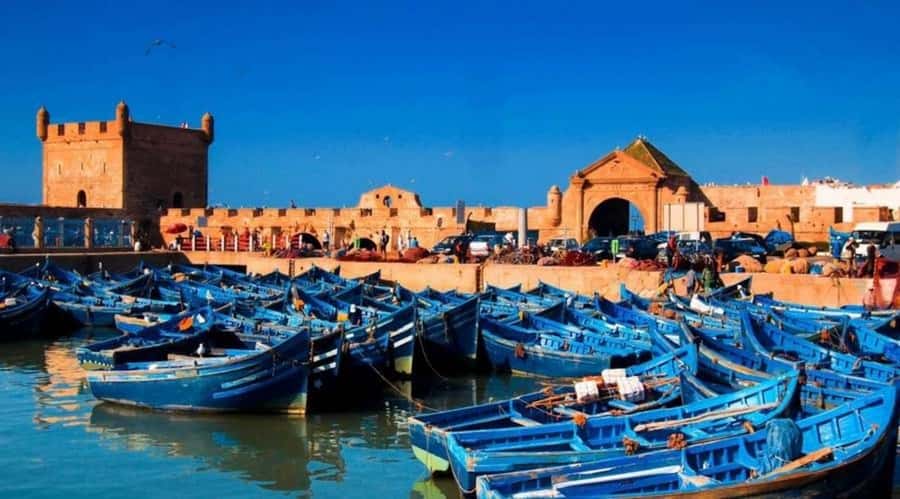 From Marrakech To Essaouira Mogador Full Day Trip Smallgroup - Why Essaouira makes a good escape from Marrakech