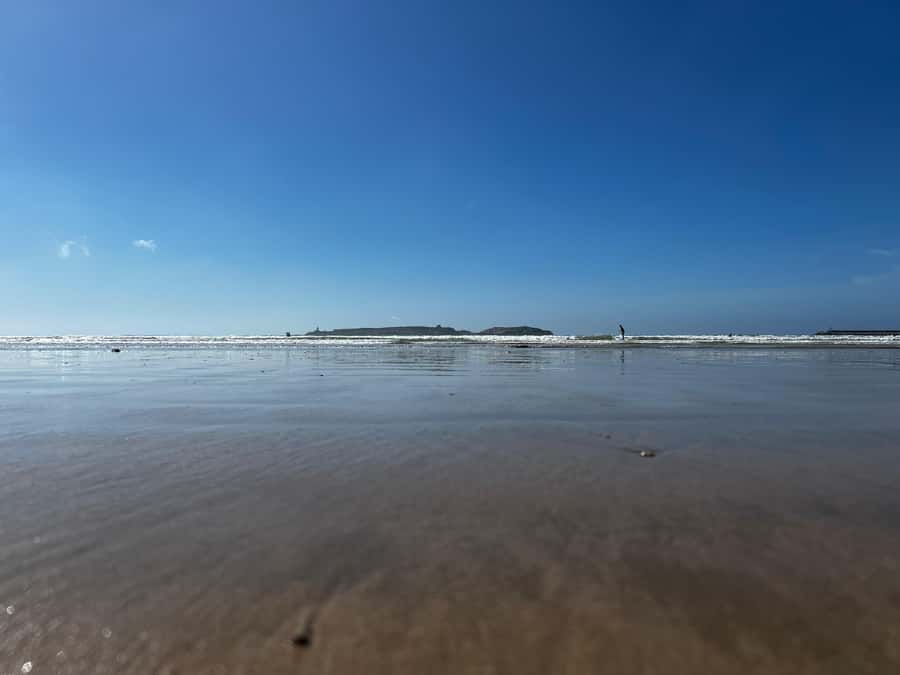 From Marrakech To Essaouira Mogador Full Day Trip Smallgroup - Drivers, languages, and the level of guidance