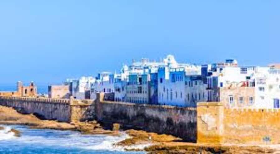 From Marrakech To Essaouira Mogador Full Day Trip Smallgroup - Who should book this day trip?