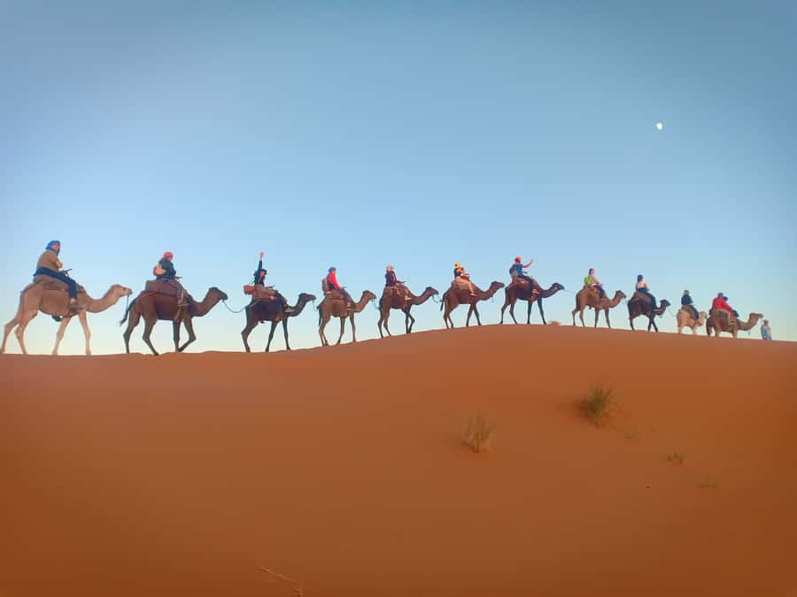 From Marrakech to Fes 3-Day Luxrury Tour via Sahara Desert - What is included, and where your money goes