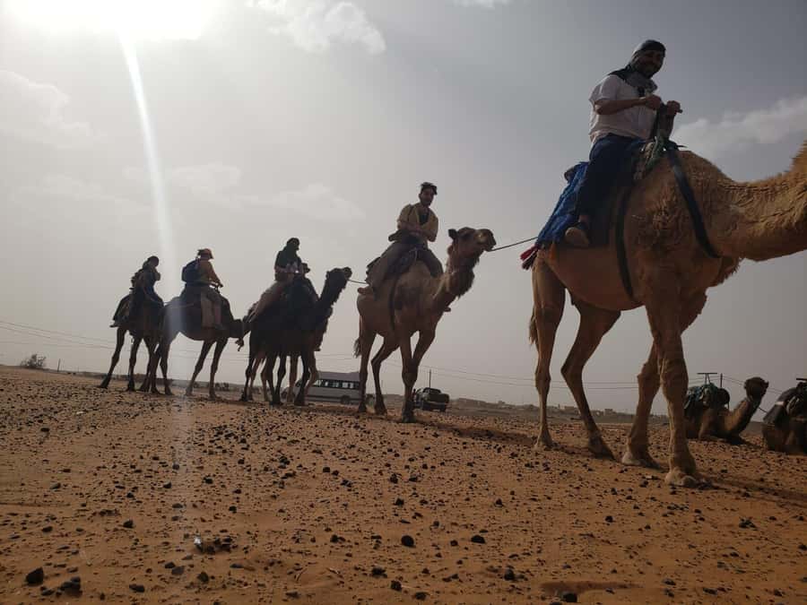 From Marrakech to Fes 4-Day Merzouga Sahara Desert Adventure - Should you book it?
