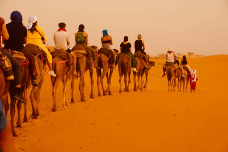 From Marrakech: Tour 3-Day To Fez Via-Desert Merzouga - Who will enjoy this Marrakech to Fez route