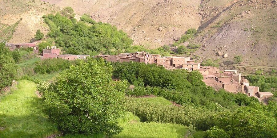 From Marrakech: Trek to Atlas Mountains, Full-Day Trip Lunch - Practical details that make the day easier