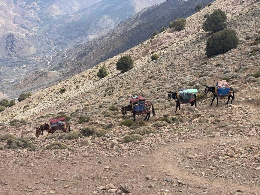 From Marrakech: Trek to Atlas Mountains, Full-Day Trip Lunch - Lunch in a local home