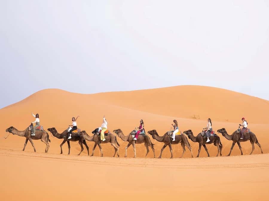 From Marrakech: Unforgettable 3-Day Desert Tour to Fes - Rose Valley and the road toward Tinghir