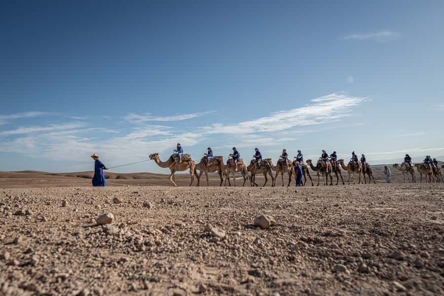From Marrakech: VIP Agafay Desert & Oasis Camel Experience - What Agafay gives you in four hours