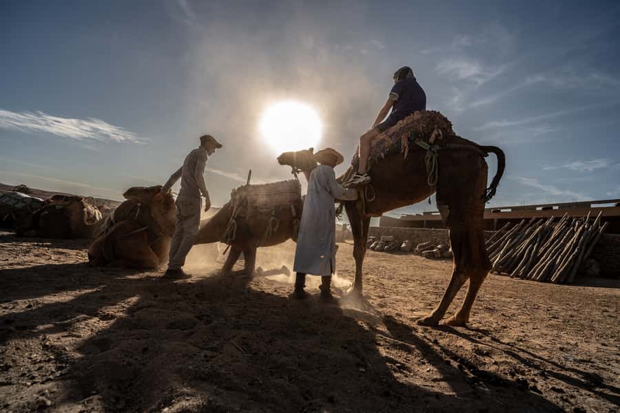 From Marrakech: VIP Agafay Desert & Oasis Camel Experience - Tea first, then the camel caravan